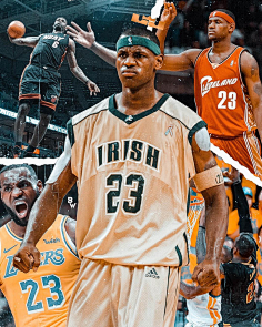 团体额度 团体额度