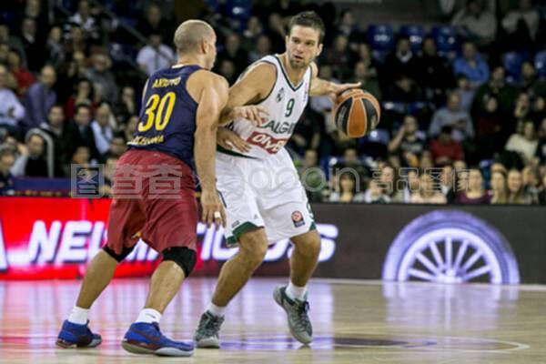 阵容思路 阵容思路